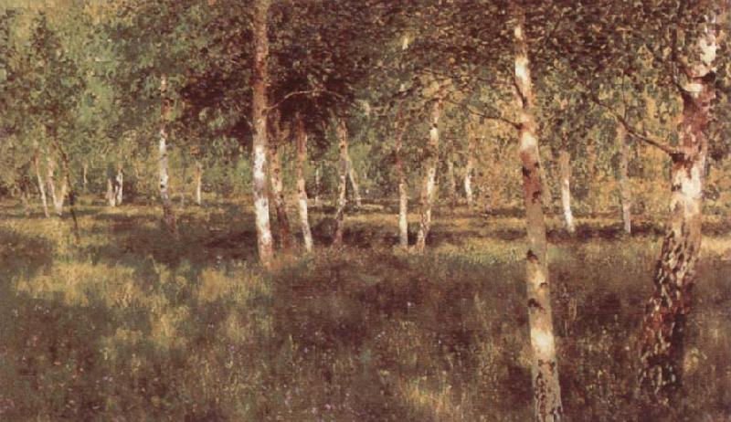  Birch Grove
